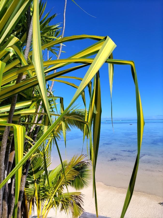 Moorea Beach Lodge Luaran gambar